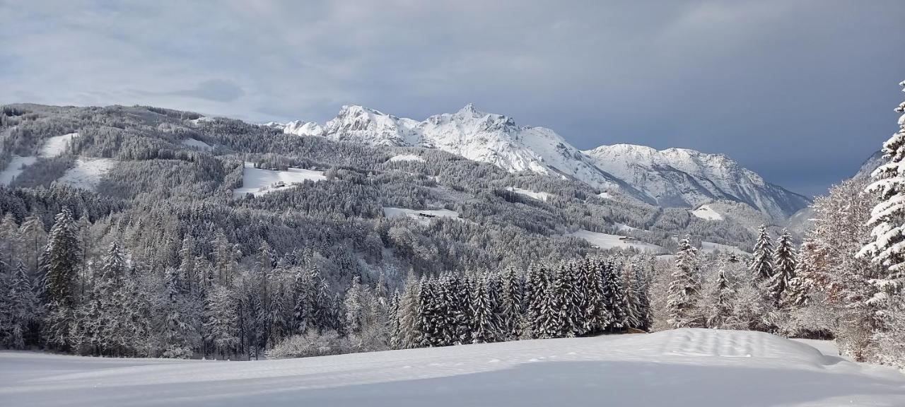 Appartement Winteraugut Werfen Exterior photo
